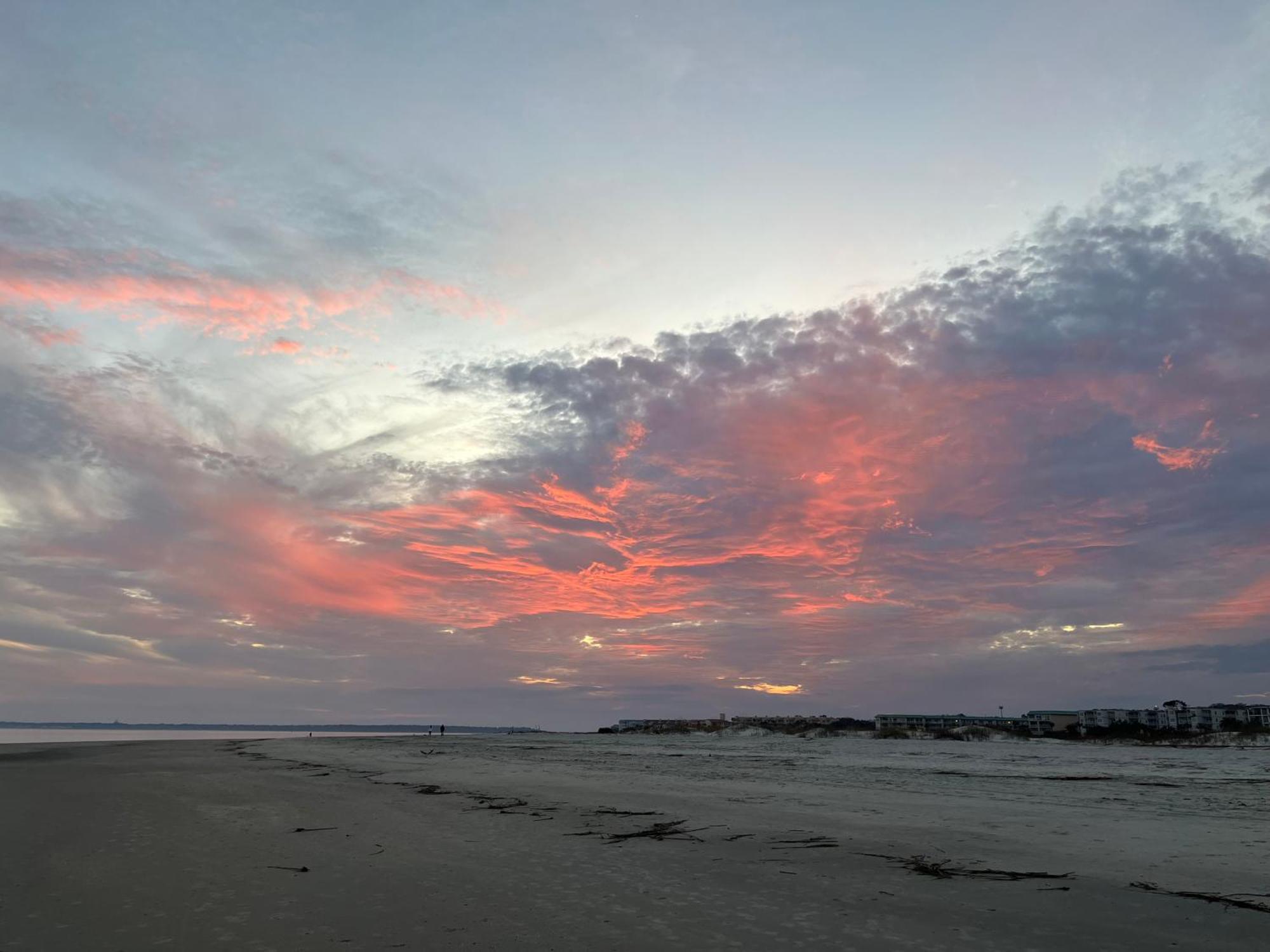 The Peachy Palm Luxurious Island Retreat Near The & Everything! Apartment St. Simons Island